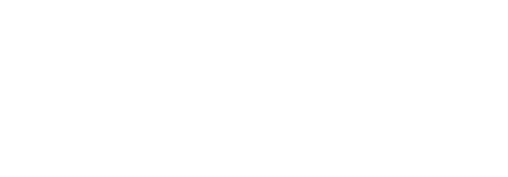 logo laystone 