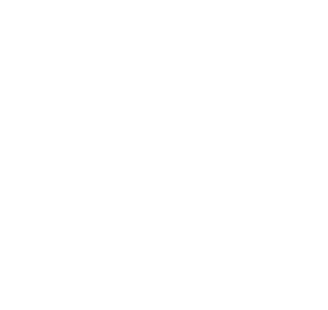 logo cybershield